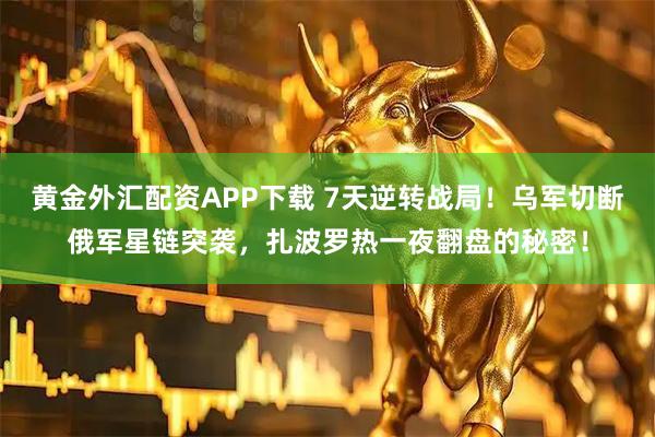 黄金外汇配资APP下载 7天逆转战局！乌军切断俄军星链突袭，扎波罗热一夜翻盘的秘密！